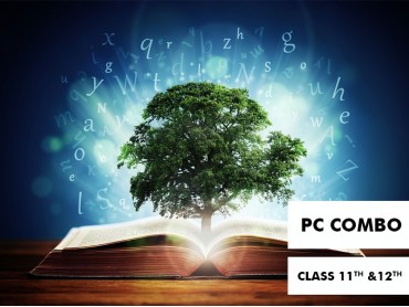Physics-Chemistry Combo for Class 12