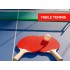  Table Tennis: Beginner