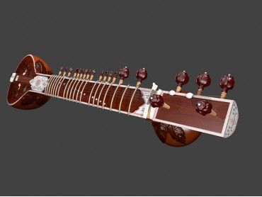 Learn and Play Sitar: for Beginner