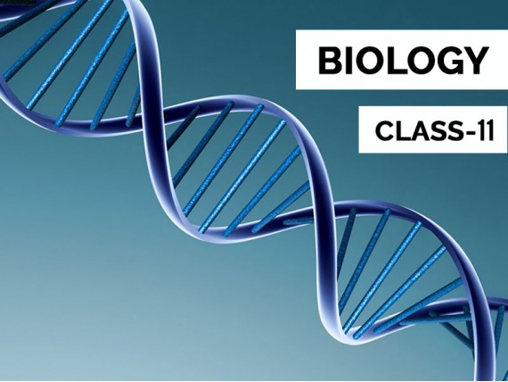 Biology  for Class 11