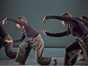 Contemporary Dance  for Beginners