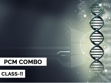 Physics-Chemistry-Maths Combo for Class 11 Physics-Chemistry-Maths Combo for Class 11