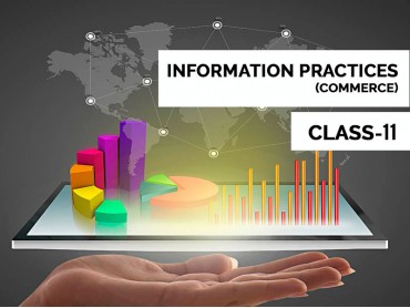 Information Practices for Class 11