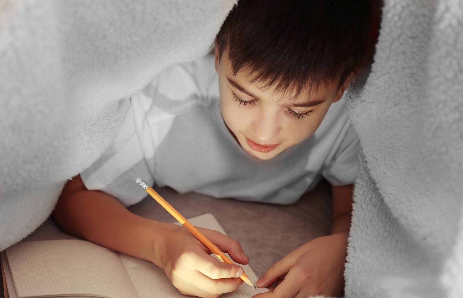 Image result for kids maintain diary