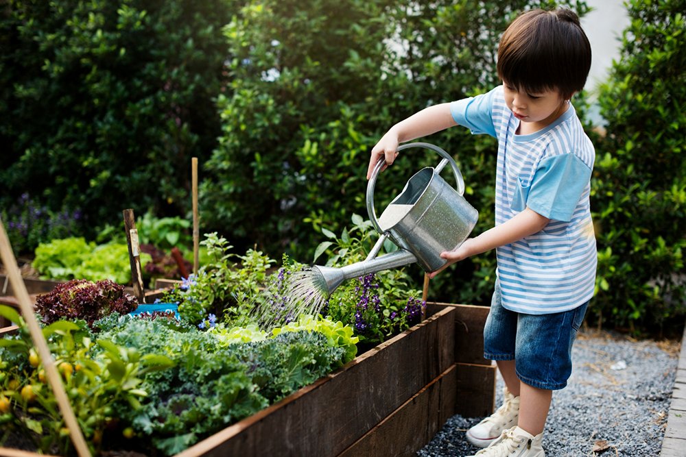 Image result for kids gardening